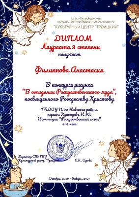 029 диплом филиппова